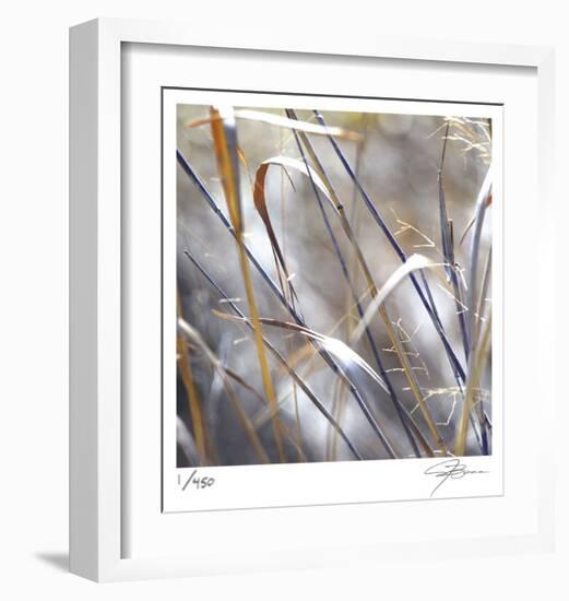 Grass 9-Ken Bremer-Framed Limited Edition