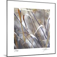 Grass 9-Ken Bremer-Mounted Limited Edition