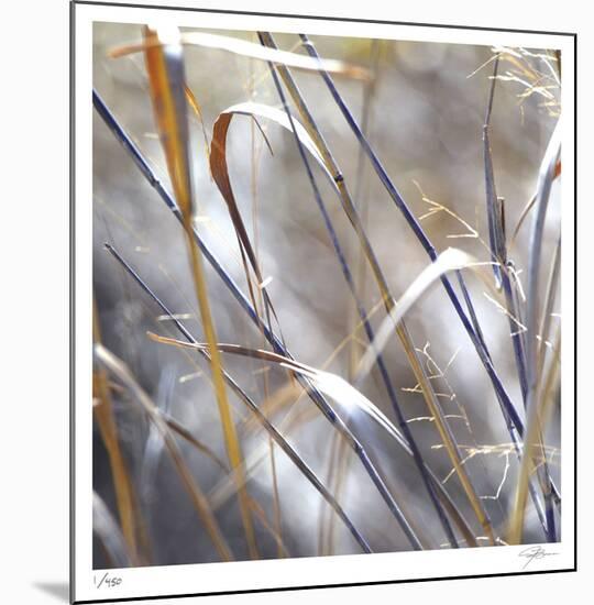 Grass 9-Ken Bremer-Mounted Limited Edition