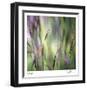 Grass Abstract 4-Ken Bremer-Framed Limited Edition