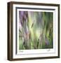 Grass Abstract 4-Ken Bremer-Framed Limited Edition