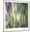 Grass Abstract 4-Ken Bremer-Mounted Limited Edition