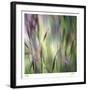 Grass Abstract 4-Ken Bremer-Framed Limited Edition