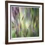 Grass Abstract 4-Ken Bremer-Framed Limited Edition