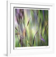 Grass Abstract 4-Ken Bremer-Framed Limited Edition