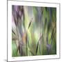 Grass Abstract 4-Ken Bremer-Mounted Limited Edition
