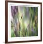 Grass Abstract 4-Ken Bremer-Framed Limited Edition