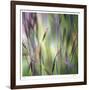 Grass Abstract 4-Ken Bremer-Framed Limited Edition