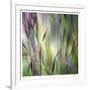 Grass Abstract 4-Ken Bremer-Framed Limited Edition