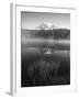 Grass Along Shore of Reflection Lake, Mount Rainier National Park, Washington, USA-Adam Jones-Framed Premium Photographic Print