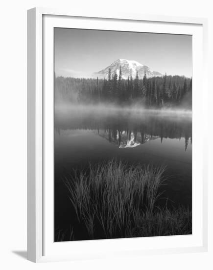 Grass Along Shore of Reflection Lake, Mount Rainier National Park, Washington, USA-Adam Jones-Framed Premium Photographic Print