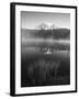 Grass Along Shore of Reflection Lake, Mount Rainier National Park, Washington, USA-Adam Jones-Framed Premium Photographic Print