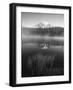 Grass Along Shore of Reflection Lake, Mount Rainier National Park, Washington, USA-Adam Jones-Framed Photographic Print