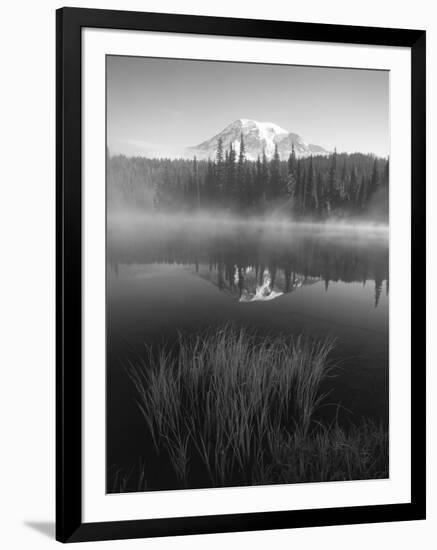 Grass Along Shore of Reflection Lake, Mount Rainier National Park, Washington, USA-Adam Jones-Framed Photographic Print