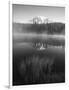 Grass Along Shore of Reflection Lake, Mount Rainier National Park, Washington, USA-Adam Jones-Framed Photographic Print