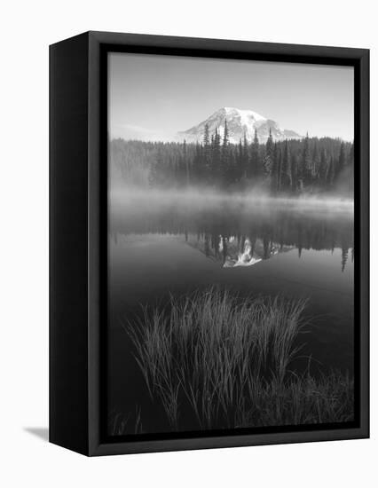 Grass Along Shore of Reflection Lake, Mount Rainier National Park, Washington, USA-Adam Jones-Framed Stretched Canvas