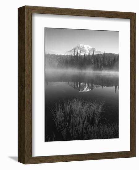 Grass Along Shore of Reflection Lake, Mount Rainier National Park, Washington, USA-Adam Jones-Framed Photographic Print