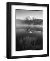 Grass Along Shore of Reflection Lake, Mount Rainier National Park, Washington, USA-Adam Jones-Framed Photographic Print