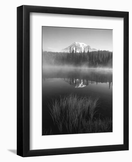 Grass Along Shore of Reflection Lake, Mount Rainier National Park, Washington, USA-Adam Jones-Framed Photographic Print