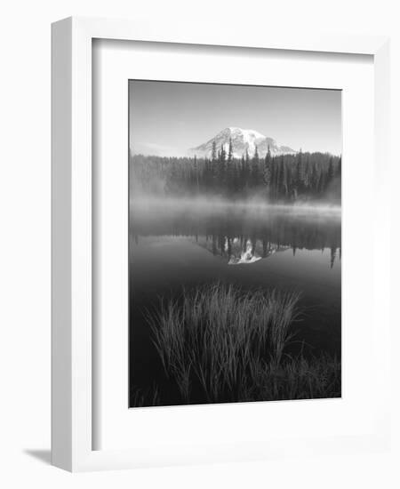 Grass Along Shore of Reflection Lake, Mount Rainier National Park, Washington, USA-Adam Jones-Framed Photographic Print