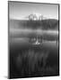 Grass Along Shore of Reflection Lake, Mount Rainier National Park, Washington, USA-Adam Jones-Mounted Photographic Print