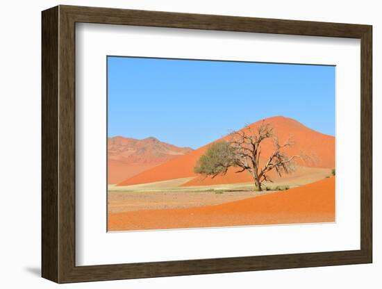 Grass and Dune Landscape near Sossusvlei, Namibia-Grobler du Preez-Framed Premium Photographic Print