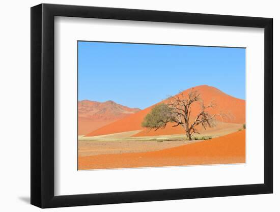 Grass and Dune Landscape near Sossusvlei, Namibia-Grobler du Preez-Framed Premium Photographic Print