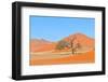 Grass and Dune Landscape near Sossusvlei, Namibia-Grobler du Preez-Framed Premium Photographic Print