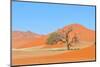 Grass and Dune Landscape near Sossusvlei, Namibia-Grobler du Preez-Mounted Premium Photographic Print