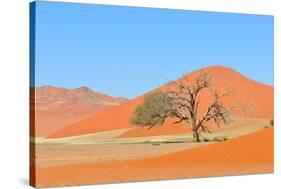 Grass and Dune Landscape near Sossusvlei, Namibia-Grobler du Preez-Stretched Canvas