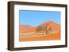 Grass and Dune Landscape near Sossusvlei, Namibia-Grobler du Preez-Framed Photographic Print