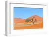 Grass and Dune Landscape near Sossusvlei, Namibia-Grobler du Preez-Framed Photographic Print