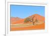 Grass and Dune Landscape near Sossusvlei, Namibia-Grobler du Preez-Framed Photographic Print