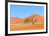 Grass and Dune Landscape near Sossusvlei, Namibia-Grobler du Preez-Framed Photographic Print