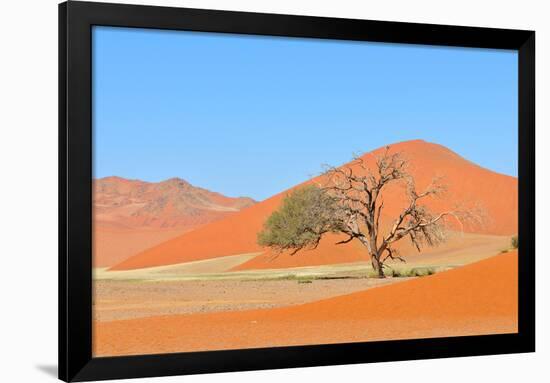 Grass and Dune Landscape near Sossusvlei, Namibia-Grobler du Preez-Framed Photographic Print