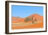 Grass and Dune Landscape near Sossusvlei, Namibia-Grobler du Preez-Framed Photographic Print