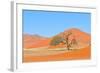 Grass and Dune Landscape near Sossusvlei, Namibia-Grobler du Preez-Framed Photographic Print