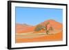 Grass and Dune Landscape near Sossusvlei, Namibia-Grobler du Preez-Framed Photographic Print