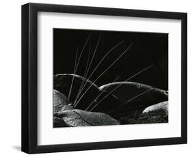 Grass and Lava, Hawaii, 1982-Brett Weston-Framed Photographic Print