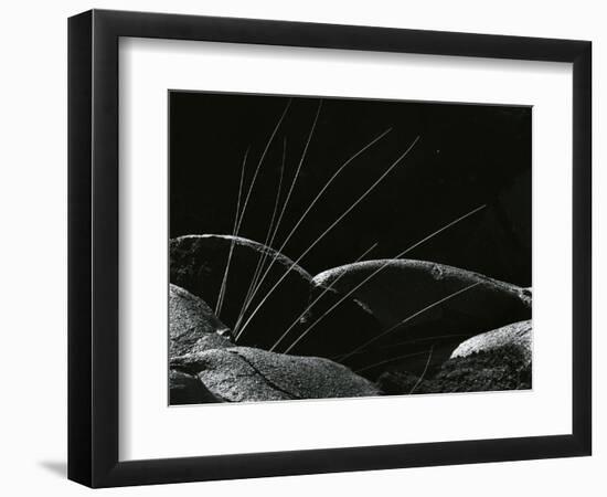 Grass and Lava, Hawaii, 1982-Brett Weston-Framed Photographic Print