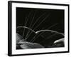 Grass and Lava, Hawaii, 1982-Brett Weston-Framed Photographic Print