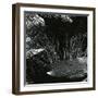 Grass and Lava, Hawaii, c. 1980-Brett Weston-Framed Photographic Print