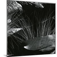 Grass and Lava, Hawaii, c. 1980-Brett Weston-Mounted Photographic Print