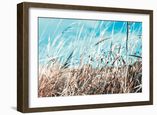 Grass and Reeds 4482-Rica Belna-Framed Giclee Print