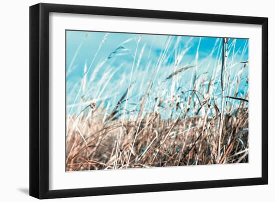 Grass and Reeds 4482-Rica Belna-Framed Giclee Print