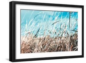 Grass and Reeds 4482-Rica Belna-Framed Giclee Print