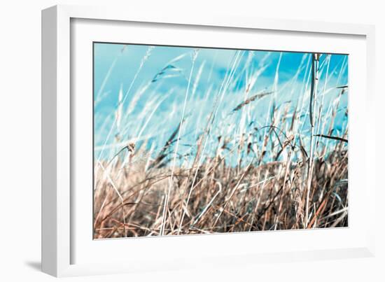 Grass and Reeds 4482-Rica Belna-Framed Giclee Print