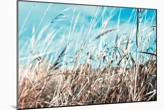 Grass and Reeds 4482-Rica Belna-Mounted Giclee Print