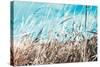 Grass and Reeds 4482-Rica Belna-Stretched Canvas