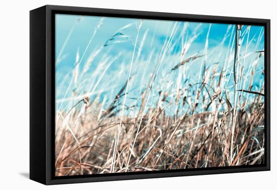 Grass and Reeds 4482-Rica Belna-Framed Stretched Canvas